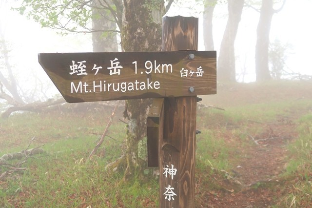臼ヶ岳の山頂