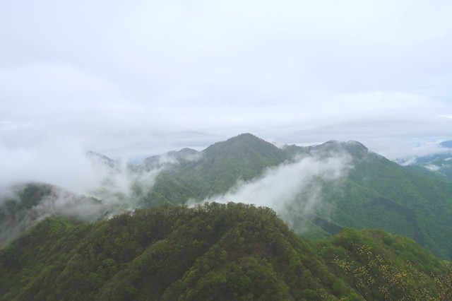 振り返って見る檜洞丸の山頂