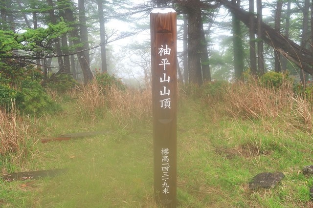 袖平山の山頂