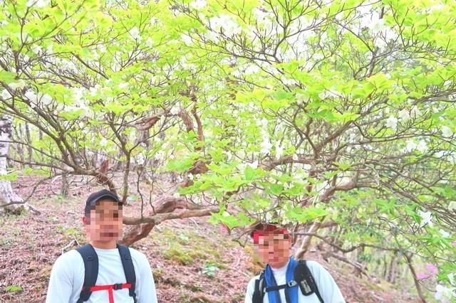 檜洞丸北尾根登山道は丹沢バリエーションルート