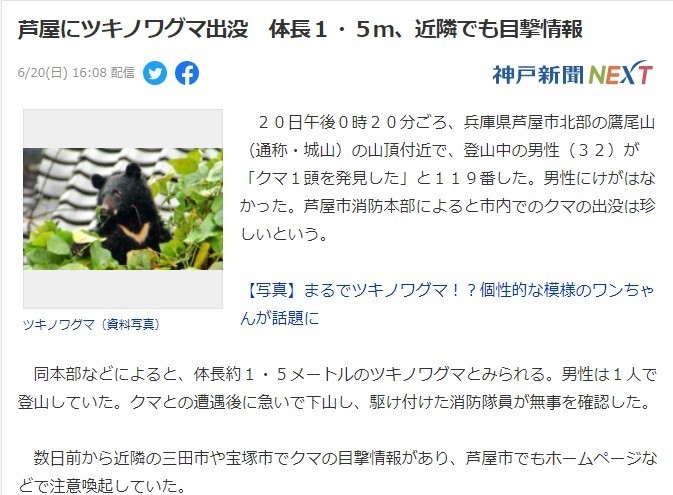 兵庫県蘆屋に熊出没ニュース