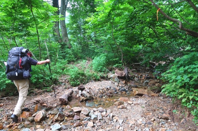 石転びの出合まで樹林帯歩き