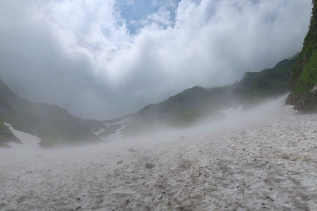 石転び沢雪渓の草付き