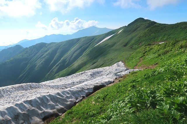 雪渓が夏道を隠してしまっている所