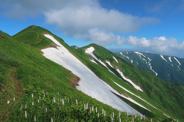 振り返っての烏帽子岳