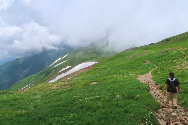 黄泉の国へ行くような雰囲気の登山道