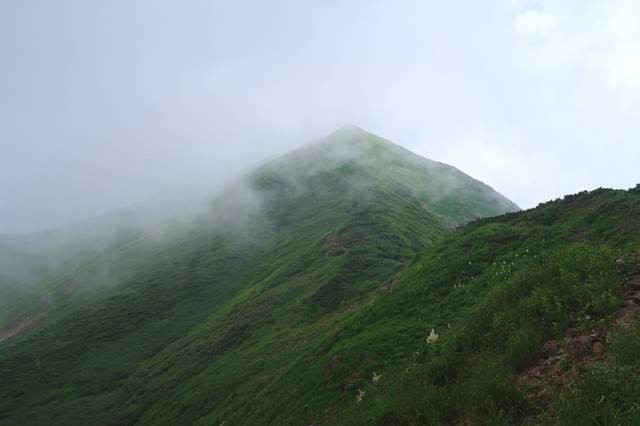 大日岳の山頂直下