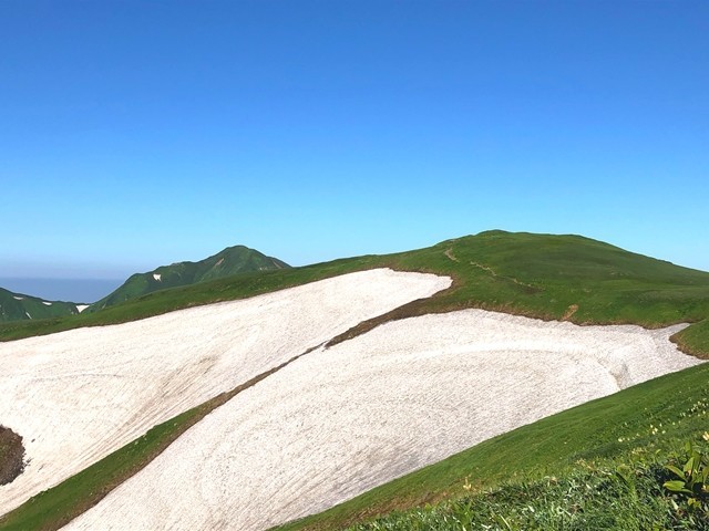 綺麗な雪渓景色