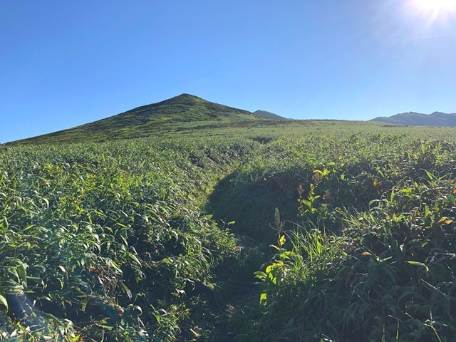 飯豊山笹路の縦走路