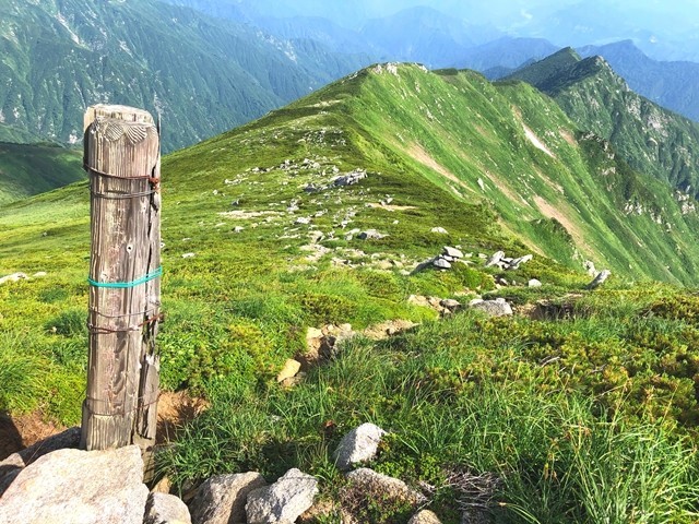 ダイグラ尾根の分岐（登山口）