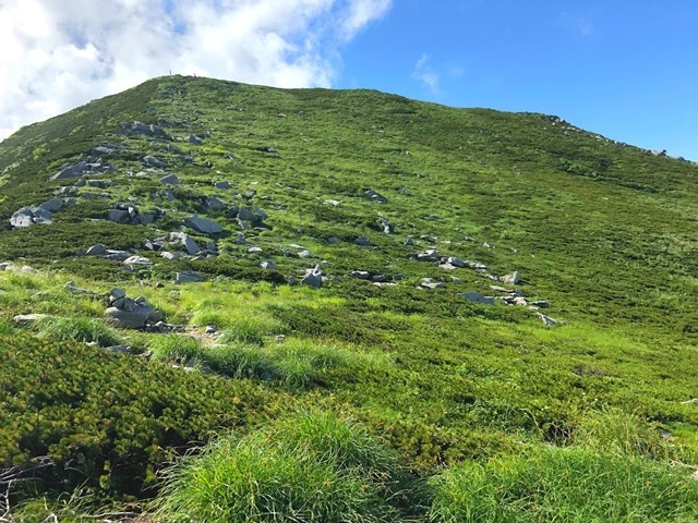 ダイグラ尾根振り返っての飯豊山