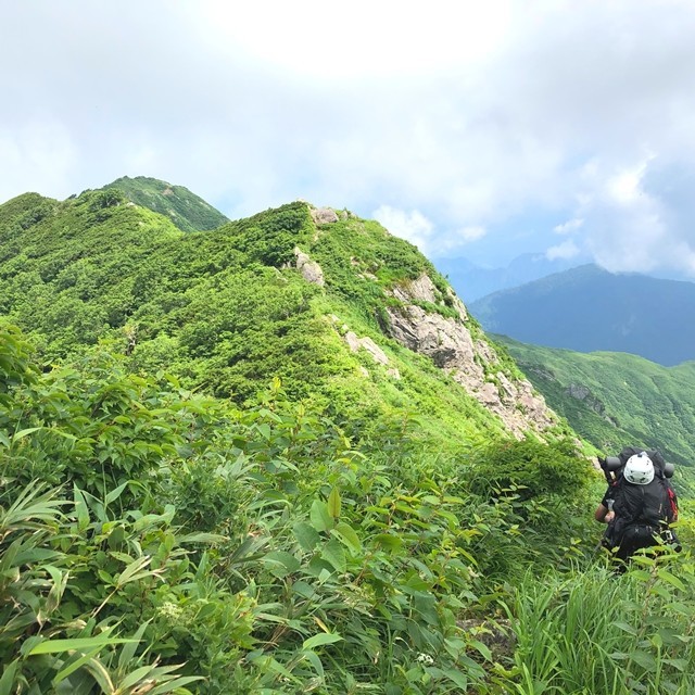 宝珠山まで急坂下りコースの様子