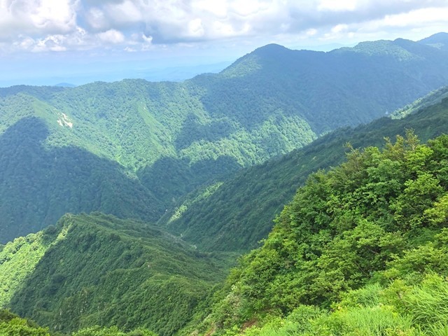 大丸森山