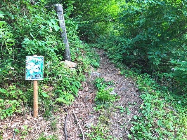 梶川尾根の登山口