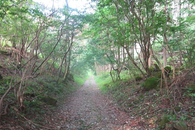 根原の吊橋林道歩き