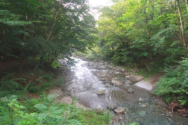 根原の吊橋周辺の景色