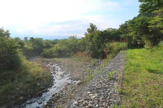 毛無山への登山道の様子