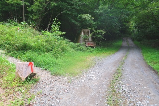 毛無山への登山道分岐