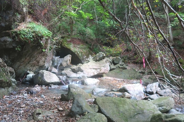 毛無山の雰囲気の良い登山道