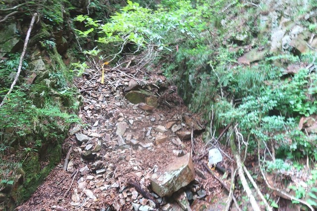 滝がある方に登り右岸に地蔵峠へのルート続く