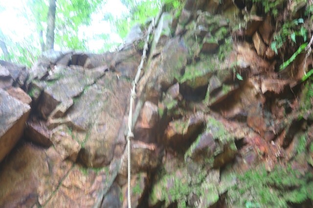 登山道にありますロープ