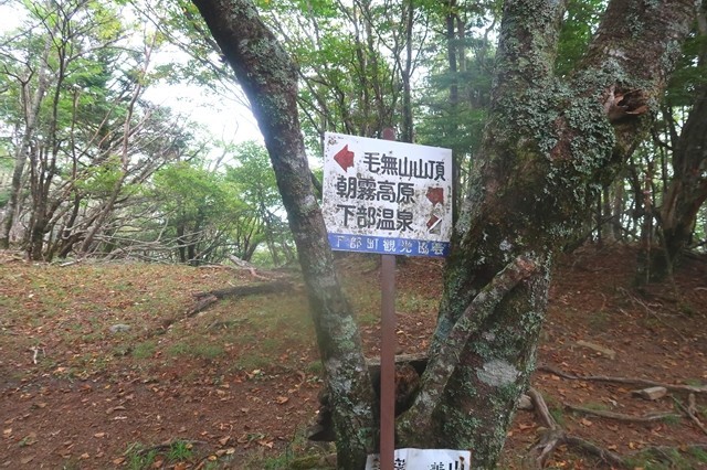 毛無山への別のルートと合流