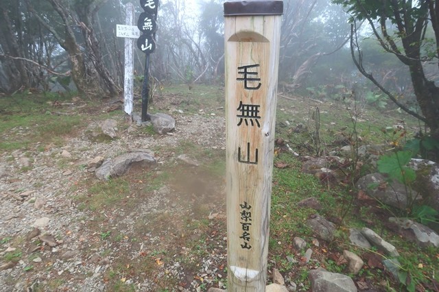 毛無山の山頂