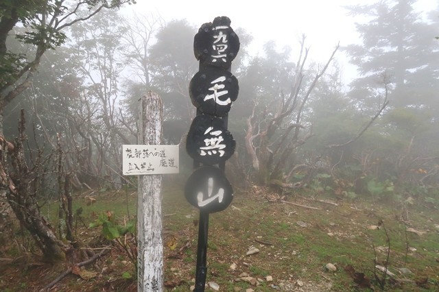 展望ゼロだった毛無山の山頂詳細