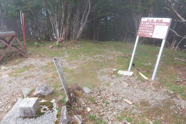 毛無山の山頂平地と樹林