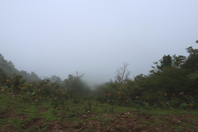 毛無山の山頂南側の展望