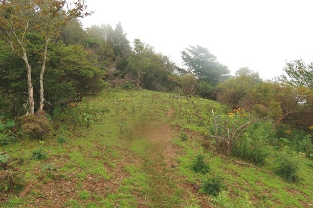 高見岳までの登山ルート