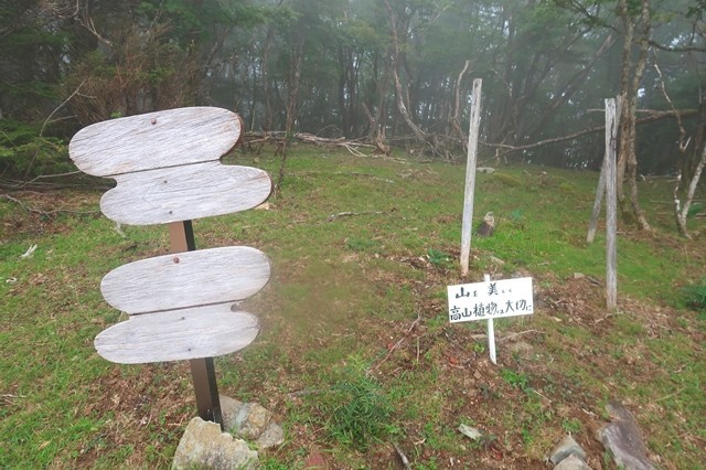 高見岳の山頂