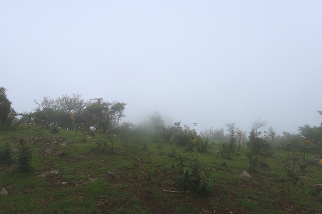 高見岳の山頂からの景色