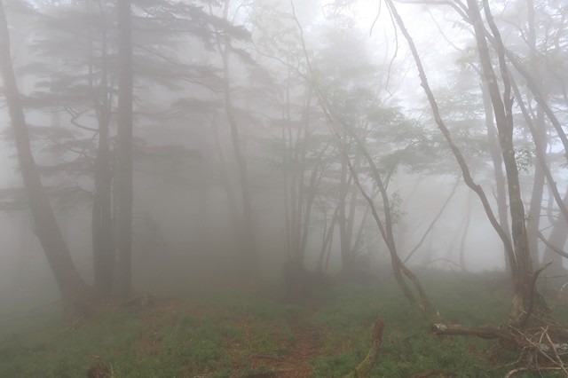 高見岳からタカデッキ縦走路の様子