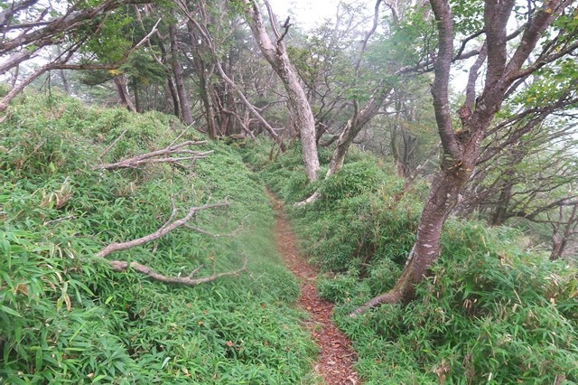 タカデッキの縦走路天気の様子