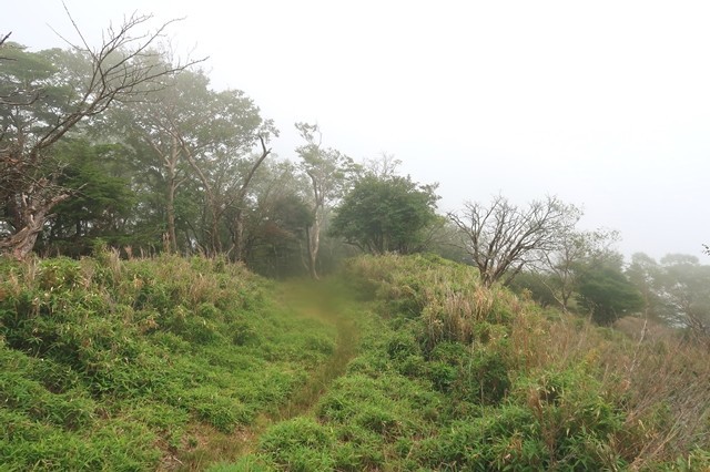 高見岳からタカデッキの縦走路景色
