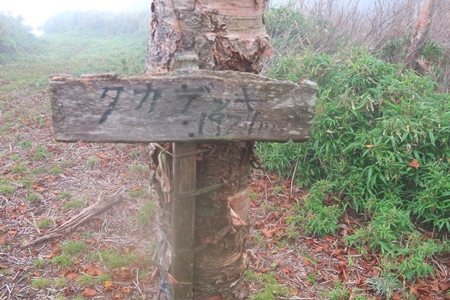 タカデッキの山頂