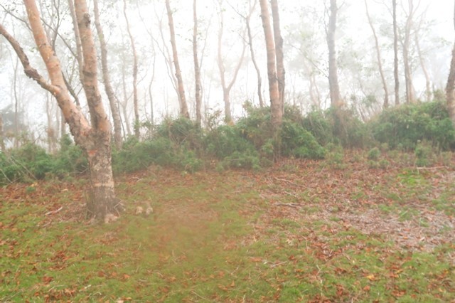 タカデッキの山頂芝生で広い