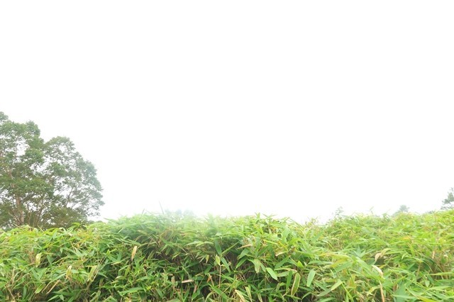 雨ヶ岳から富士山方面の景色