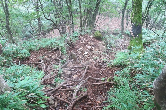 雨ヶ岳から端足峠・割石峠へ下山の様子