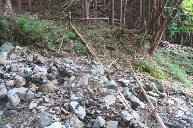 東海自然歩道のルート荒れている場所で危ない