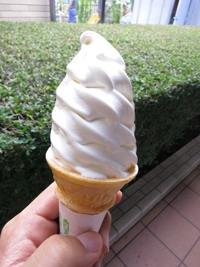 朝霧高原牛乳ソフトクリーム