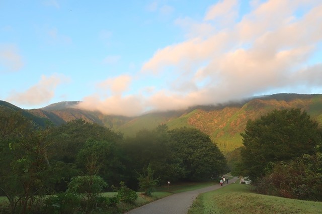 朝焼けした富士山