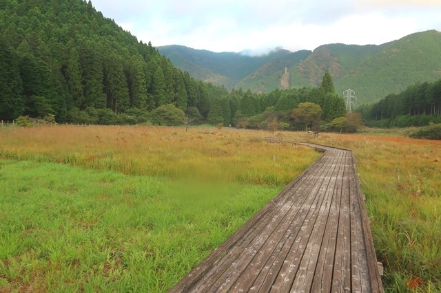 小田貫湿原の木道と湿原の景色