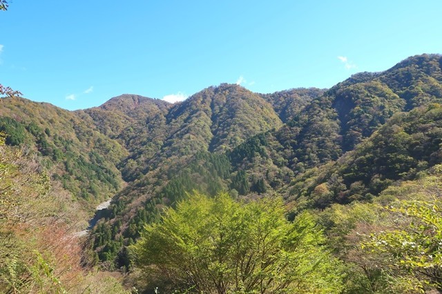 鍋割山北尾根から見る鍋割山稜