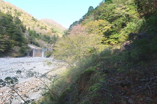 目指す蛭ヶ岳登山ルートの様子