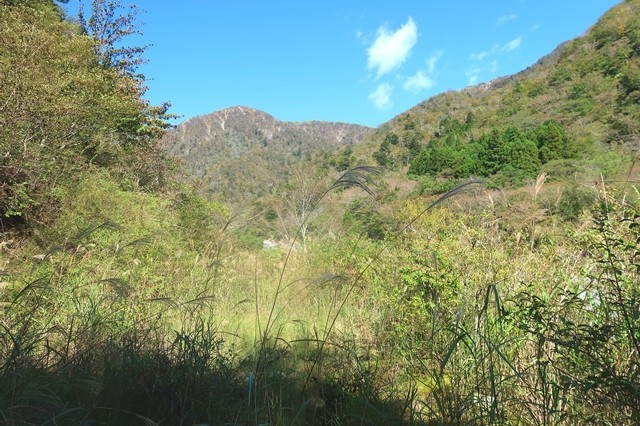 蛭ヶ岳南尾根ルート激やぶ地帯