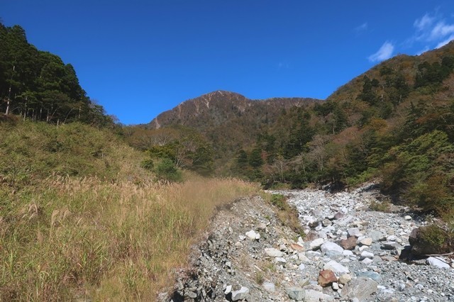 左の藪が蛭ヶ岳南尾根登山口コース