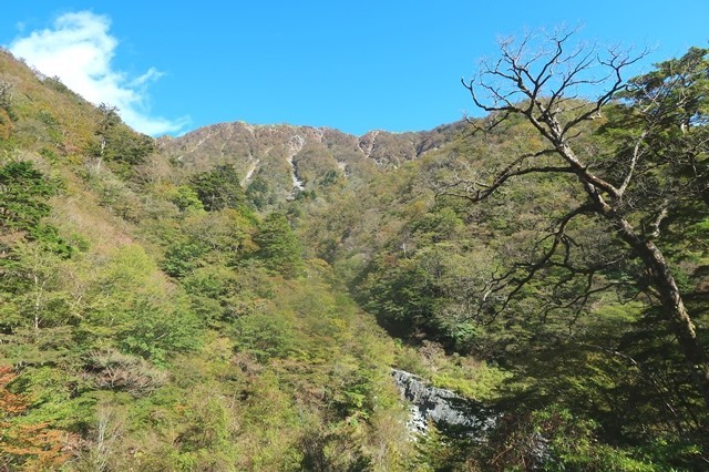 蛭ヶ岳南尾根ルートからの丹沢主脈縦走路