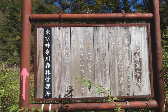 丹沢国有林の看板